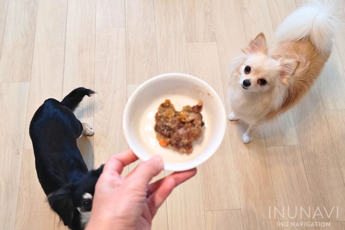 タミーレシピ　馬肉おかゆと愛犬たち